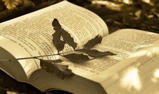 悲愤填膺的意思（悲愤填膺的意思和拼音）