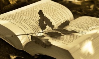 蛟龙得水是什么意思（蛟龙得水是什么意思啊）