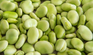 蚕籽多少天出来小蚕（蚕籽几天出生蚕宝宝）