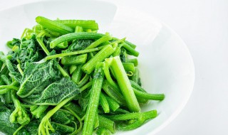 蛐蛐吃什么东西 蛐蛐吃什么东西好