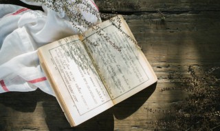 侍卫是什么意思 侍卫之臣的侍卫是什么意思