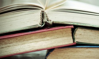 鸟面鹄形的意思 鸟面鹄形的解释