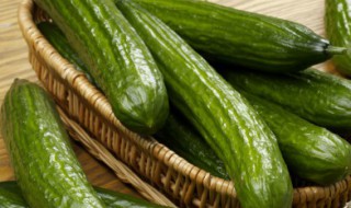 种黄瓜的方法和枝术 黄瓜的种植枝术