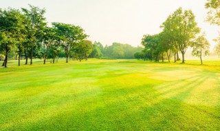 种草皮的方法 种草皮需要注意什么
