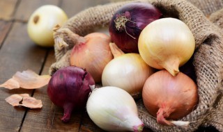种洋葱的方法 怎么种洋葱