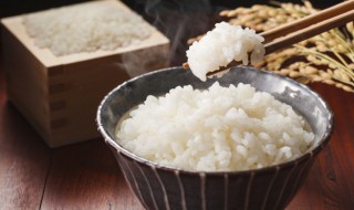 蛋浇饭怎么样做（蛋浇饭做法）