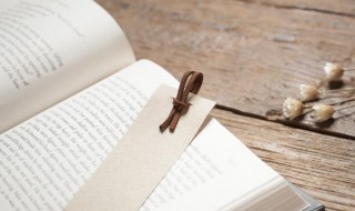 入射是什么意思（入射角是什么意思）