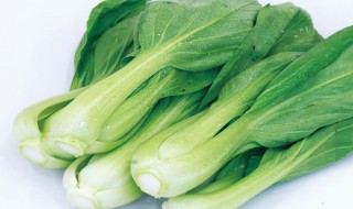 小白菜怎么挑选（小白菜怎么挑选才好吃）