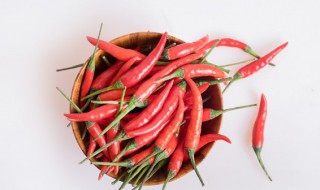 种辣椒的方法和步骤 种辣椒的基本方法是什么