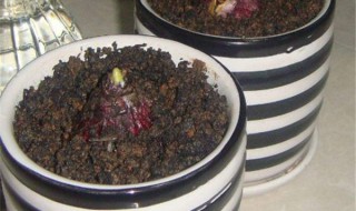 多菌灵拌土用量和方法（一袋多菌灵可以拌多少土）