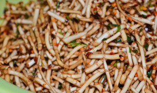 无土栽培折耳根的方法 无土栽培折耳根的方法图片