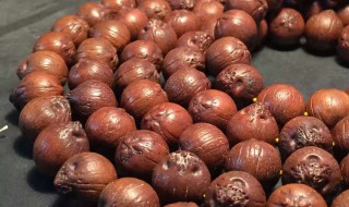 什么菩提子最好看 什么菩提子最好看图片