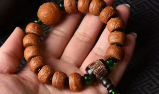 菩提子是什么意思(菩提子有什么用意)