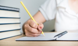 关于苏轼的故事(关于苏轼的故事50字左右)