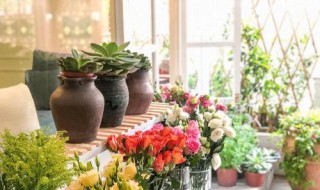 父亲节送什么花 父亲生日送什么花