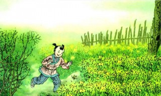 篱落疏疏一径深什么意思(篱落疏疏一径深是什么)