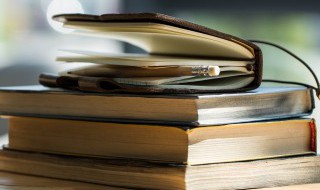 家狗和野狼告诉我们什么道理 你知道吗?