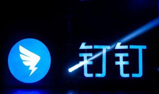 怎么用电视上网课钉钉(如何用电视上钉钉网课)