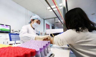 验血的主要目的是什么? 验血内容包括什么