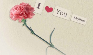 母亲节祝福语一句话 母亲节祝福语长句