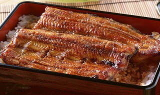 鳗鱼的营养价值及功效与作用 鳗鱼有哪些营养