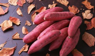 红薯的的营养价值及功效与作用 红薯的营养价值和功效与作用