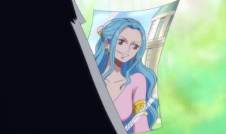 海贼王薇薇参加世界会议哪一集 海贼王薇薇参加世界会议哪一集死的