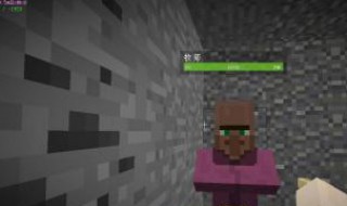 村民能不能激活刷怪笼(村民能不能激活刷怪笼任务)