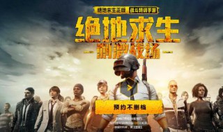 绝地求生刺激战场的安装包（绝地求生刺激战场直接下载安装）