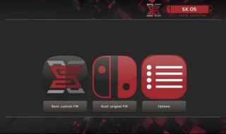 switch游戏无法启动软件（switch游戏无法启动软件怎么删除）
