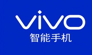 vivox21a能单独换外屏吗（vivox21ia可以换外屏吗）