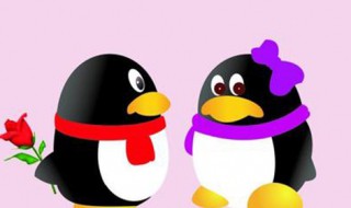 qq避免盗号的方法 qq避免盗号的方法有哪些