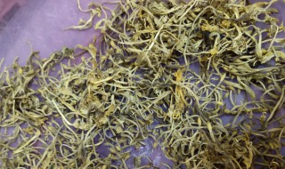 金银花洗脸的正确洗法(金银花洗脸的正确洗法图解)