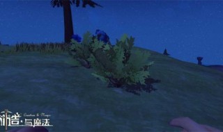 创造与魔法杂草在哪多（创造与魔法家里的杂草怎么除）