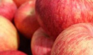 苹果月子怎么吃 苹果月子里怎么吃