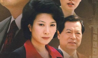 方正刚市长是什么电视剧（方正的电视剧）