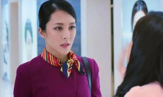 法证先锋4高安大妹高善是谁(法证先锋4高安的妹妹高善是谁)