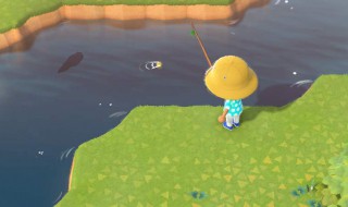 动物森友会石头怎么获得 动物森友会 小石头刷新