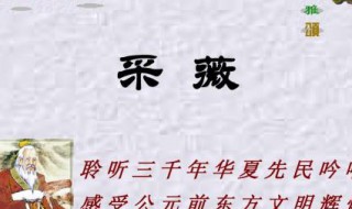 今我来思雨雪霏霏翻译成现代汉语（今我来思雨雪霏霏的翻译）