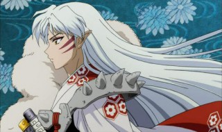 杀生丸是哪部动漫的（杀生丸是哪部动漫的角色）