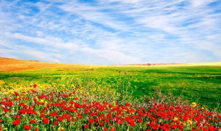 春季哪些产品是热卖品 春季哪些产品是热卖品牌