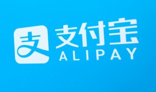 支付宝返款账号怎么找（支付宝返款账号怎么找回）