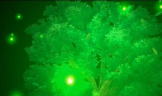 fgo技能时间 FGO技能