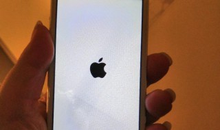 苹果X突然只显示苹果标志（苹果x突然只显示苹果标志了）