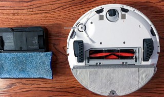 石头扫地机器人无法划区清扫（石头扫地机器人无法划区清扫怎么回事）