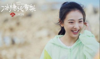 冰糖炖雪梨播出卫视 冰糖炖雪梨首播