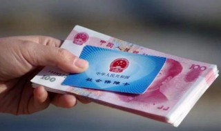 公司交社保是什么部门（公司交社保是什么部门管）