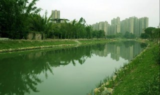 黑臭水体治理是不是污水处理 黑臭水体治理是不是污水处理工程