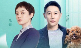 安家孙俪和罗晋不是一对（安家孙俪和罗晋不是一对夫妻）