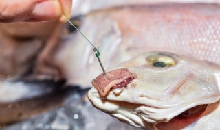 鱼钩能过安检吗（鱼钩能过安检吗火车）